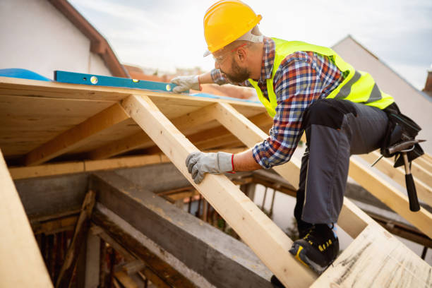 Roof Gutter Cleaning in Oxford, AL